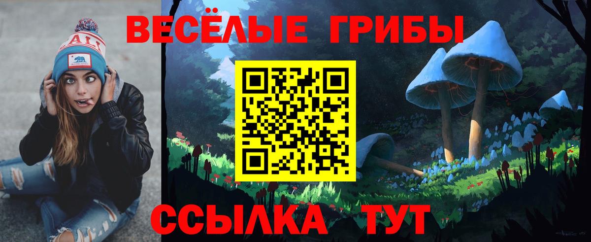 продажа наркотиков  Вход с VPN  Сокол  Псилоцибиновые грибы мухоморы 