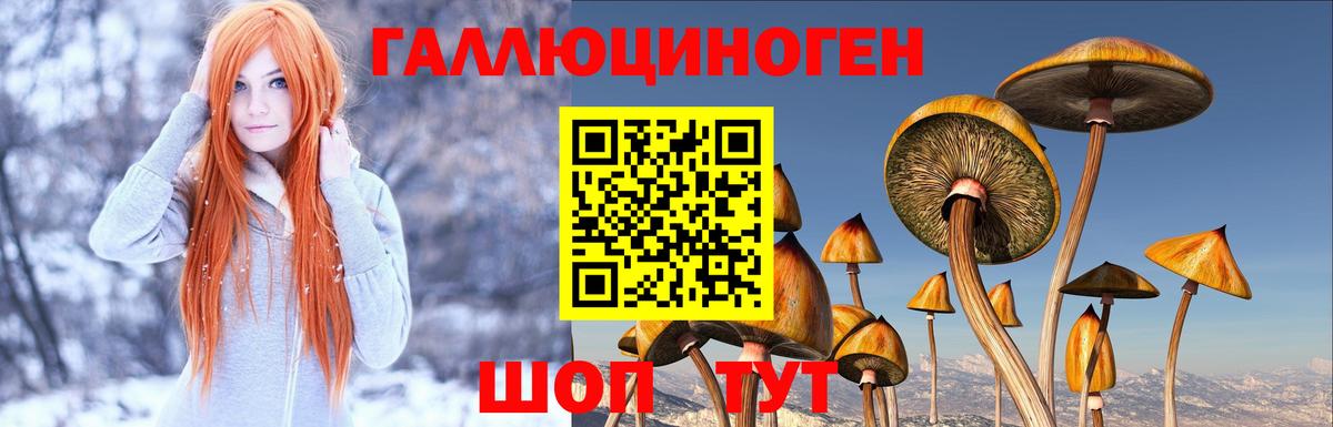 Псилоцибиновые грибы Magic Shrooms Сокол